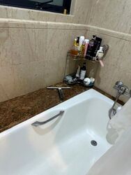 Valley Park (D10), Condominium #623158261
